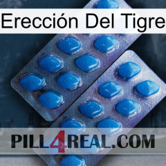 Erección Del Tigre viagra2